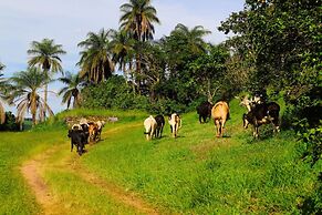 Porto Fazenda Hotel - Pensão Completa