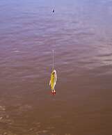 Porto Fazenda Hotel - Pensão Completa