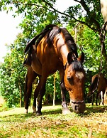 Porto Fazenda Hotel - Pensão Completa