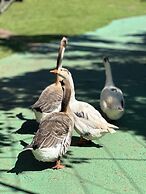 Hotel Pousada Villa Itália