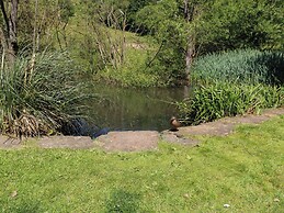 Belvedere Farm