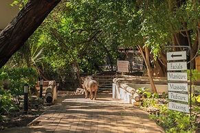 Chobe Safari Lodge