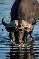 Chobe Safari Lodge