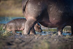 Chobe Safari Lodge