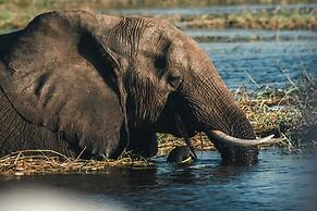 Chobe Safari Lodge