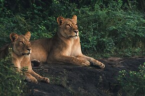 Chobe Safari Lodge