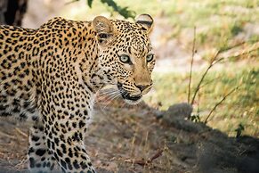 Chobe Safari Lodge