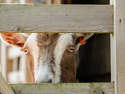 Swallow Cottage, Trewetha Farm