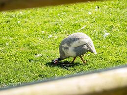 Swallow Cottage, Trewetha Farm
