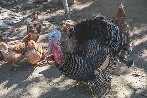 Wakax Hacienda - Cenote & Boutique Hotel - Small Luxury Hotels of 