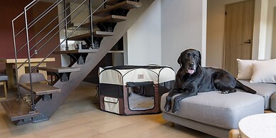 Rakuten STAY Fuji Kawaguchiko Station