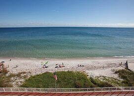 Tropical Winds by ALBVR