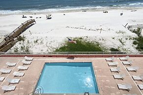 Tropical Winds by ALBVR