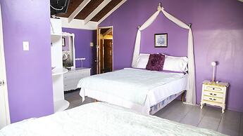 Castle Cove-Ocean Front Villa