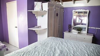 Castle Cove-Ocean Front Villa