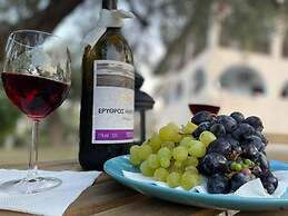 Holiday Aptm - Morningsun1 - Sithonia