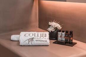 Collini Hotel Mykonos