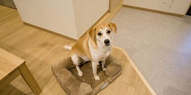 Rakuten STAY Nikko Hoden