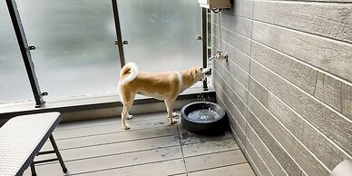 Rakuten STAY Nikko Hoden