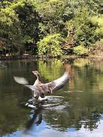 Pousada o Cantinho da Raposa