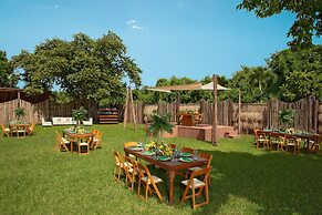 Dreams Cozumel Cape Resort & Spa - All Inclusive