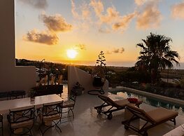 Pink Freud Villas Santorini