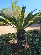 The Hills Guest House