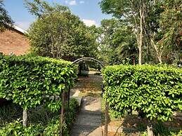 The Hills Guest House