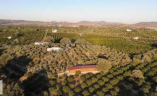 Mount Ida Detox Hotel Adults only Izmir