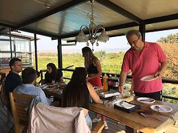 Teos Garden Retreat Hotel - Adults Only