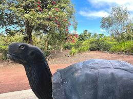 Hotel Galapagos Tortuga Bay