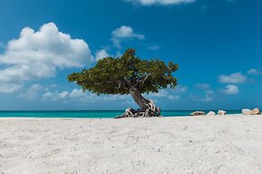 Private Beach Ocean Front Boat Dock Tiki Bar