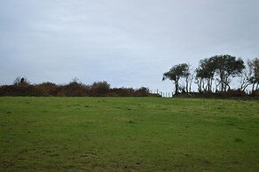 Cwrt y Wennol