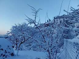 Hotel Deewan-e-Aziz International