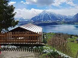 Chalet With Panoramic Views of the Mountains of the Oberland and Lake 