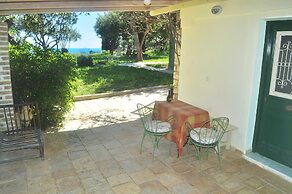 House Lemoni - Studio