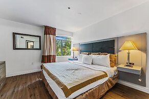 Metro Chandler Apartments