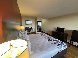 Tropical Palms Hotel