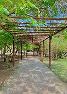 Vivant Eco Beach OFICIAL