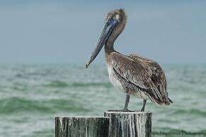 138-140 Delmar Genny's Landing