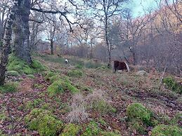 The Tower, our Scottish Castle in Miniature