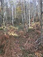 The Tower, our Scottish Castle in Miniature