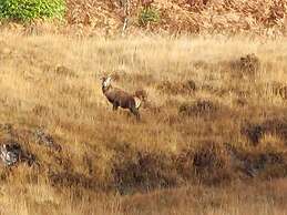 The Tower, our Scottish Castle in Miniature