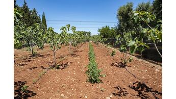 Lamia del Fico con Piscina Pineta e Zona Giochi