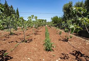 Lamia del Fico con Piscina Pineta e Zona Giochi