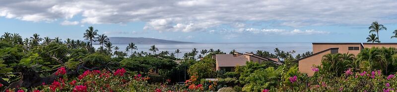 Wailea Ekahi 17D