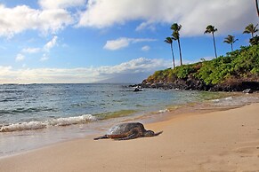 Kapalua Ridge Villas 2614