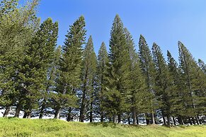 Kapalua Golf Villas 19t6