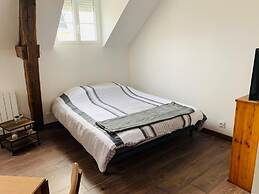 Lexpérience Delie by Icone Collection