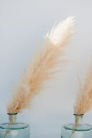 The Olive Boutique Suites and Spa